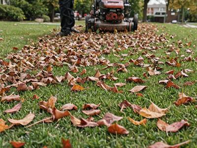 Seasonal lawn cleanup service