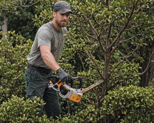 Tree and shrub care services
