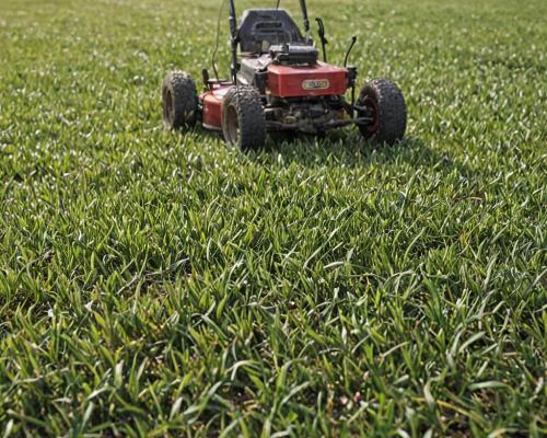 Lawn fertilization and weed control